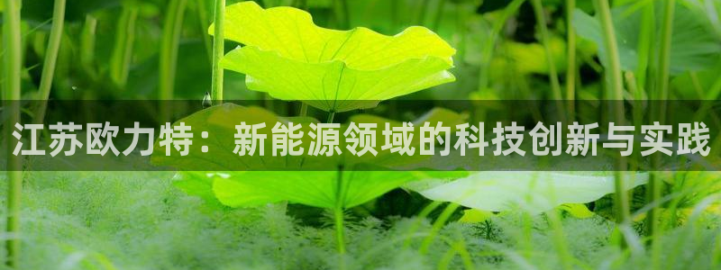 申博手机版官网