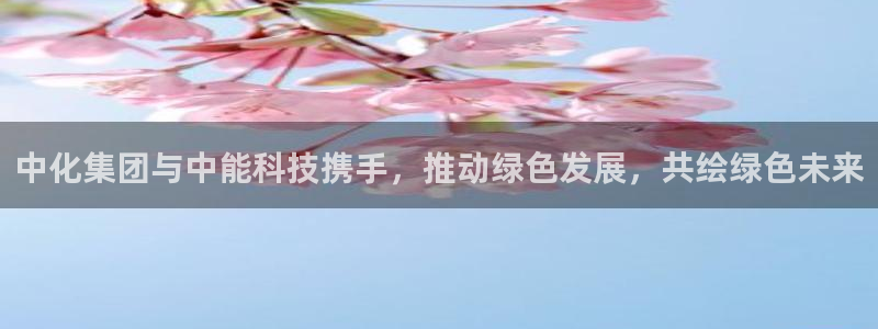 sunbet申搏app下载