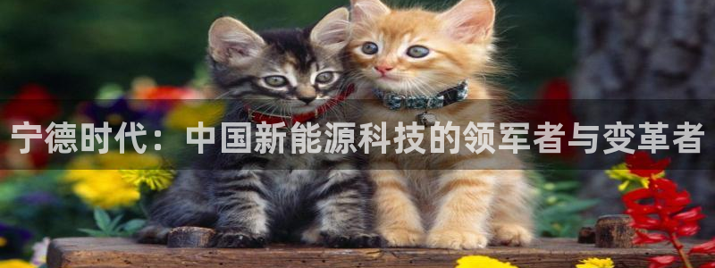 sunbet游戏最新版