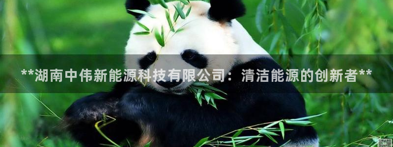 下载申搏sunbet并安装app