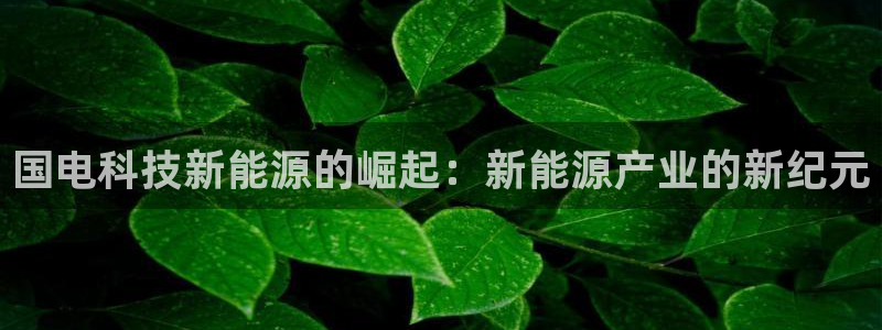 sunbet游戏网