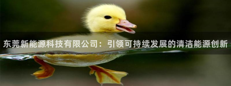 申博官方网站手机版下载