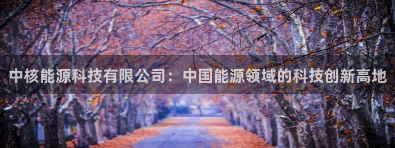 申博官网手机客户端