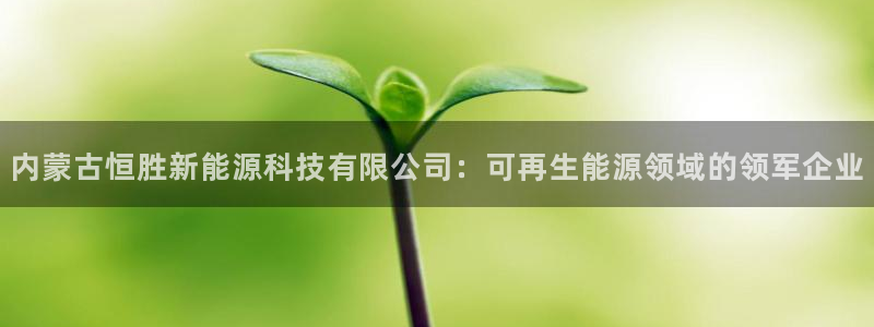 申博官方网站手机版下载